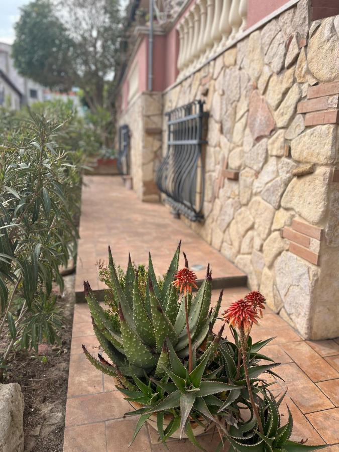 סנטה דומניקה B&B Villa Regina מראה חיצוני תמונה