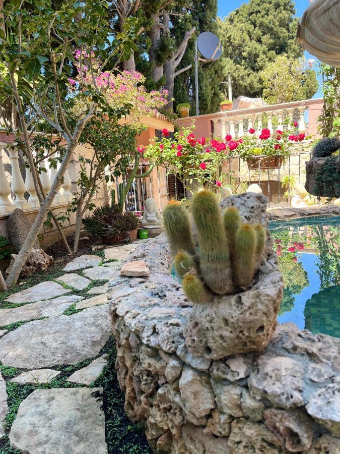 סנטה דומניקה B&B Villa Regina מראה חיצוני תמונה